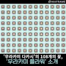 니아마켓 이미지