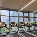 임팩트짐 이미지