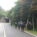 무룡고개 1쉼터 이미지