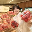 현대백화점 이미지