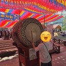 김한기 | 초등 서울 무료 관광코스 : 종로-인사동-조계사-청계천