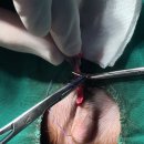 장현 동물병원 이미지