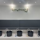 우쿨렐레(주간) 이미지