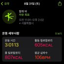 정영컴퍼니 | 더시티발레서울학원 홍대점 Lv4 중급 정영재t 후기 & Lv3수업과 난이도 비교