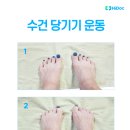좋은운동 하이닥