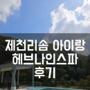 비헤브 | 제천 포레스트 리솜 헤브나인 스파 아이랑 다녀온 후기