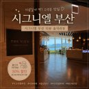 더30 | [부산]부산 시그니엘 더뷰 런치뷔페 후기｜출산모 30% 할인 받고 다녀온 기념일 식사