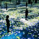 랩Flowers 이미지