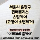 이레365홈케어 이미지