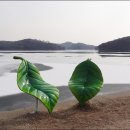 등산로(상) Daum카페