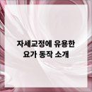 근력강화+바른자세 요가 이미지