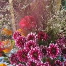 판교기쁨공인중개사사무소 이미지