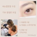 아르미속눈썹 네이버블로그