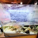 엉터리정육점 | 목동점심맛집 엉터리 생고기