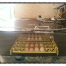 길원농장 이미지