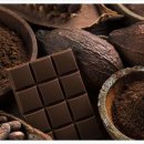 봄앤동물병원 이미지