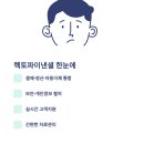 주식회사헥토 티스토리