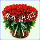 성남혜은학교 | 성남시(시장신상진)는46번째로해를넘겨서까지 &#34;혁신...빛을발하고있다.특수학교 장애학생 대상 환경교육...