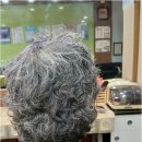 태후사랑 염색방 이미지