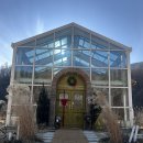 4월의밀밭 이미지