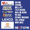 리얼 스트렝스 짐 이미지