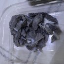 육회말투아웃 이미지