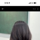 김지수 헤어랩