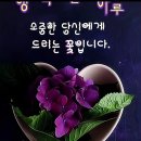 봄을 시샘하는 꽃샘추위 이미지