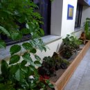 경상남도 산청군청 이미지