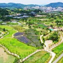 함평천지길 이미지