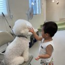 안녕 멈머야 이미지