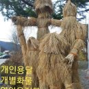 개인(개별)화물-11