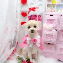 뷰티인독 이미지