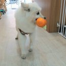 개네집 곳간 이미지