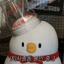 매일회사랑 이미지