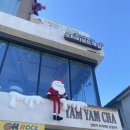 데일리얌얌 | 수원 얌얌차-분위기 좋은 딤섬 맛집 평일 데일리 런치세트 솔직후기