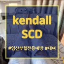 kendall scd 700 사지압박순환장치 임산부 대여 후기