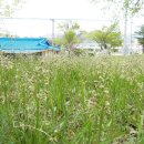 무을초교 이미지