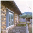 나무와흙 이미지