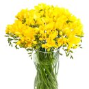 테라행정사사무소 이미지