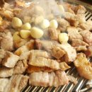 숯굽는 마을 Daum카페