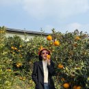 이영애농장 이미지