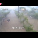 노랑통닭(화정점) | [일상] 8월 3주차 운동하고 일하고 데이트하는 직장인 일상 | 신혼부부 일상