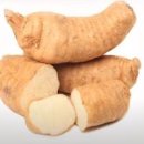 천마 효능 부작용 천마차 효능 칼로리 이미지