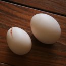 혁이네 농장 이미지