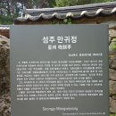 날마다장날 이미지