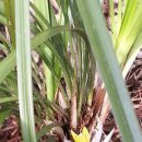 둘레길펜션텔 이미지