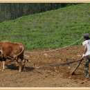 동강의품속 이미지