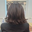 제주 아라동 미용실 갈색염색 새치염색 잘하는 곳 가온샵 아라점