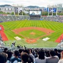 317 | [야구 직관]두산 vs NC : 잠실 야구장 중앙 네이비 317블럭 27열 338번 명당 시야 및 솔직후기